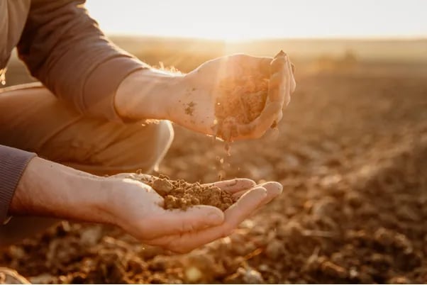 03-agriculture-sustentabilidade