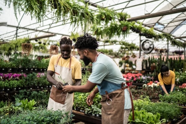 Equity e ascensão 01